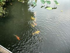 -八卦田遗址公园