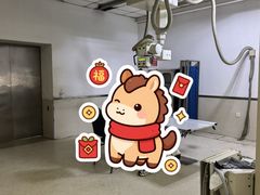 -沈阳市骨科医院