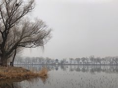 -颐和园