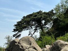 -泰山风景名胜区