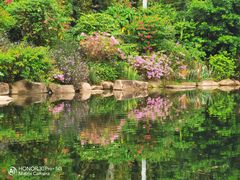 -点都德(广州白云山景区南门店)