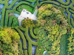 -大屏嶂森林公园