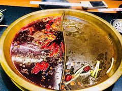 鸳鸯锅-沸炉重庆老火锅(军事博物馆店)