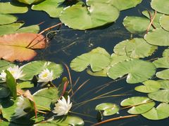 -长春市南湖公园