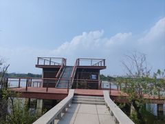 -贡湖湾湿地公园