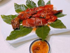 烧鸭-梧桐餐厅(泉城路店)