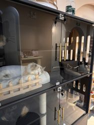 -花系美·美甲美睫精品店