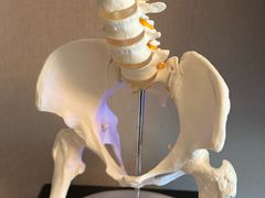 -修申骨雕小颜脊柱骨盆管理产后修复