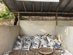 -大象粑粑造纸公园