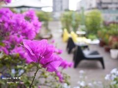 天台-拖板鞋咖啡旅行酒店(春熙路地铁站店)