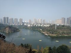 -重庆彩云湖湿地公园