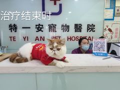 -特一安24小时宠物医院·骨科·中兽医