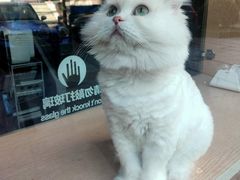 -Pets First伊珊娜洗护·精致美容·家庭式寄养(新会路店)