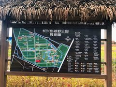 -上海长兴岛郊野公园