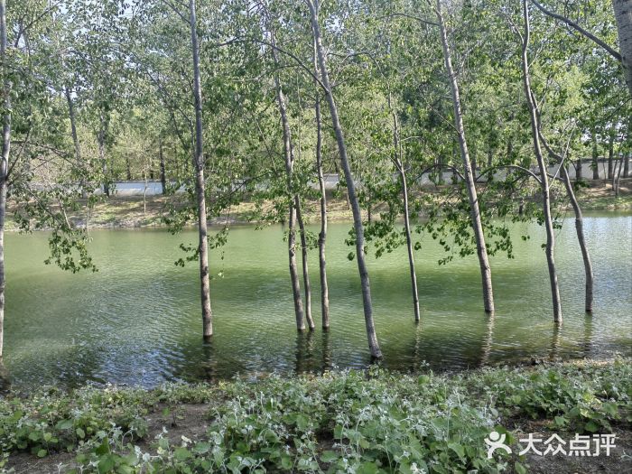 坝河休闲公园图片