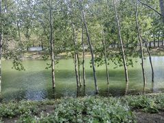 -坝河休闲公园