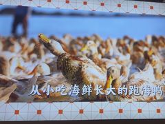 -虎婆冷饮店·海南特色炒冰(三亚湾店)