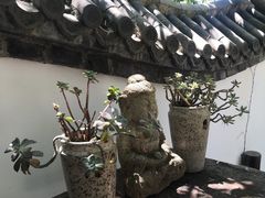 -慢丽江·云南野生菌土鸡锅(西山店)