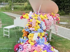 -杭州湾海上花田景区