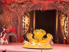 -广州长隆国际大马戏