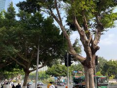 -广州中国市长大厦