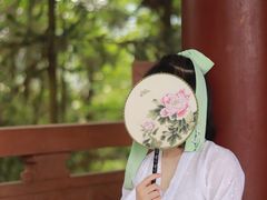-酒仙湖景区
