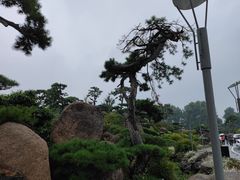 -罗红摄影艺术馆