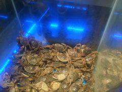 -鑫海汇海鲜烤肉自助(北国商城店)
