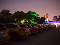 -枫花园汽车电影院(朝阳公园店)