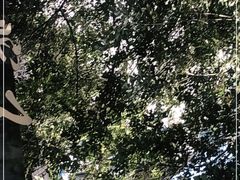 -浣花锦绣(杜甫草堂店)