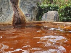 -大理地热国