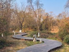 -盘龙城国家考古遗址公园