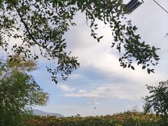 -香山公园