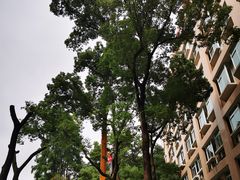 -上海市杨浦区中心医院安图分部-停车场