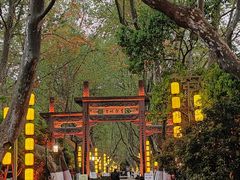 -杭州黄龙洞