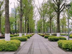 -百林公园-两江幸福广场