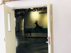 -北京麋鹿生态实验中心