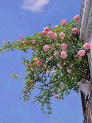 -Oasis Beauty水磨坊科技美肤中心