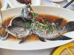 -骏莱海鲜鱼港(五角场店)