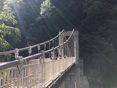 -黎坪国家森林公园