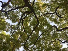 -螺世纪螺蛳粉·桂味小排档(裕德店)