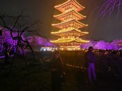 -东湖磨山景区樱花园-停车场