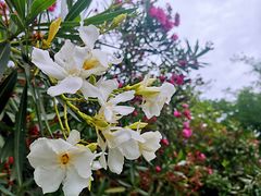 -邱金小炒·30 年盐帮江湖菜(自贡店)