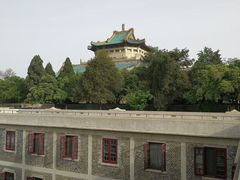 -武汉大学-樱园