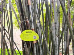 -晓港公园