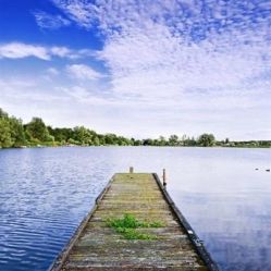 -薇兰专业脱毛连锁机构