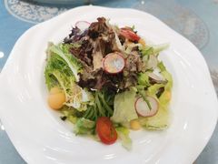 蔬菜沙拉-金熙楼(熙南里店)