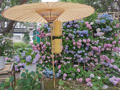 -常州古运河南大街文化旅游区-人民公园