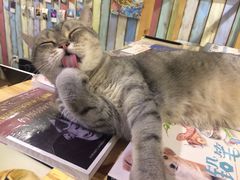 -小时光咖啡馆(开森度假森林店)