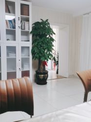 -产后帮产后修复(首城国际店)